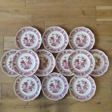 12 Mason's dinner plates