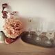 Set crystal glasses of arques