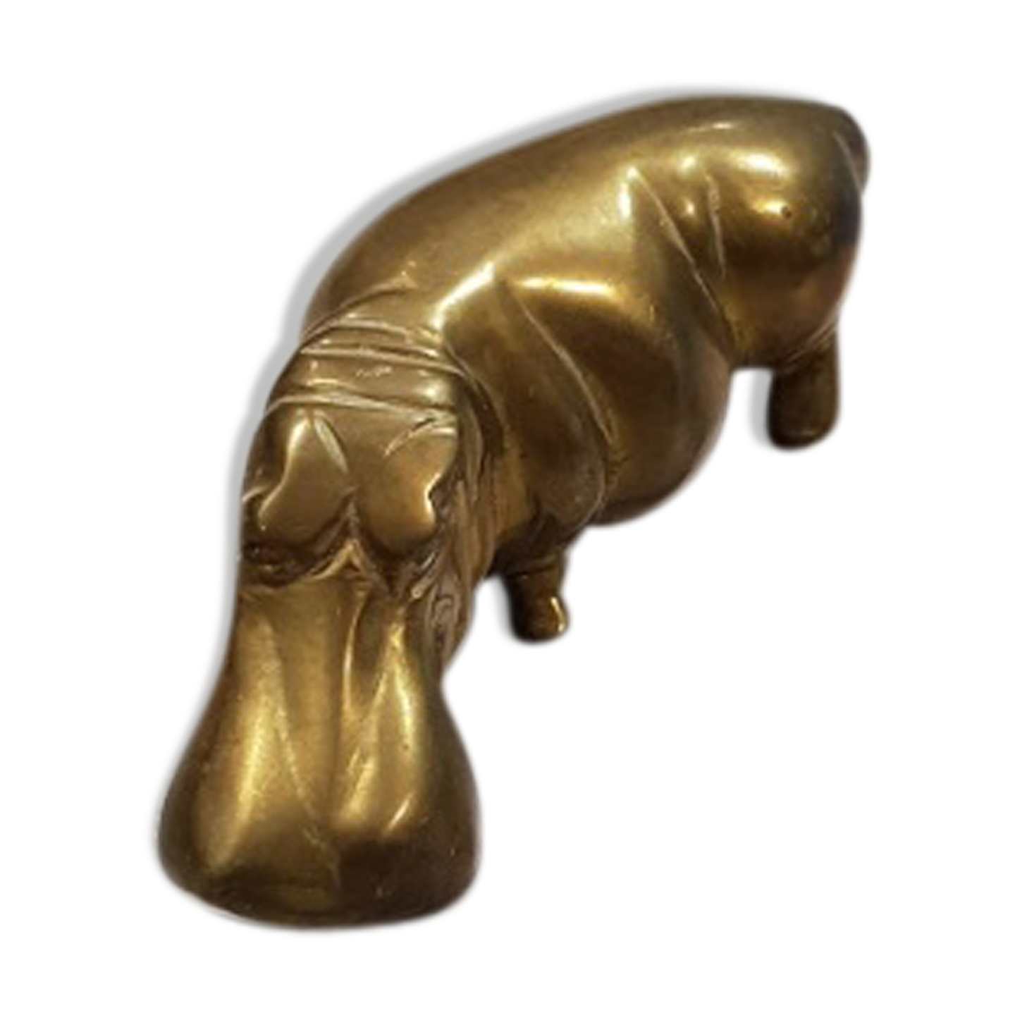 Hippopotamus brass