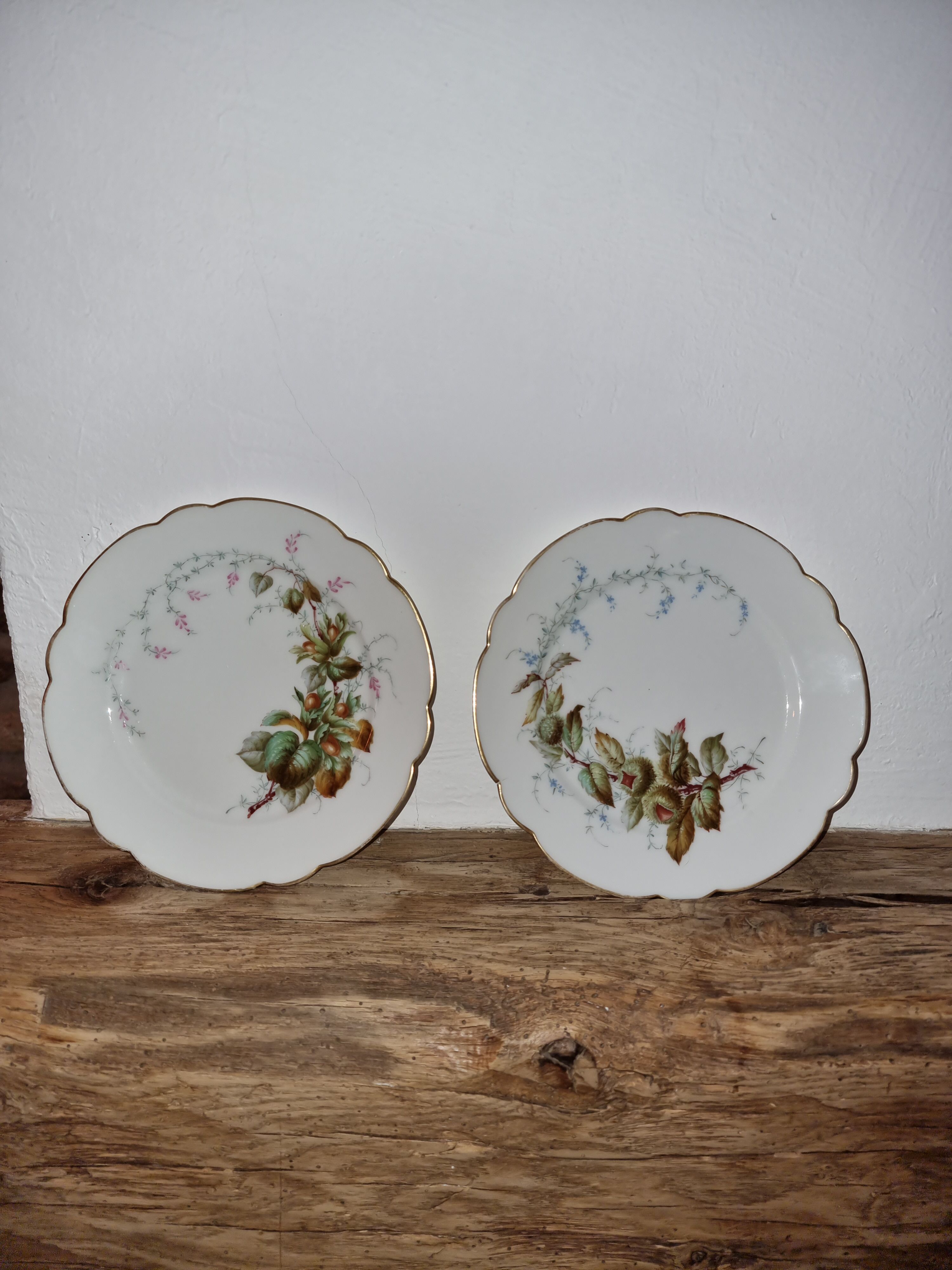 2 plates autumnal motifs