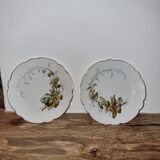 2 assiettes motifs automnale