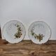 2 plates autumnal motifs