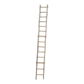 Old tree trunk ladder