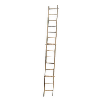 Old tree trunk ladder
