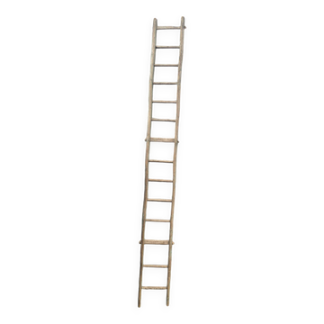 Old tree trunk ladder
