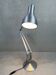Anglepoise 75 desk lamp