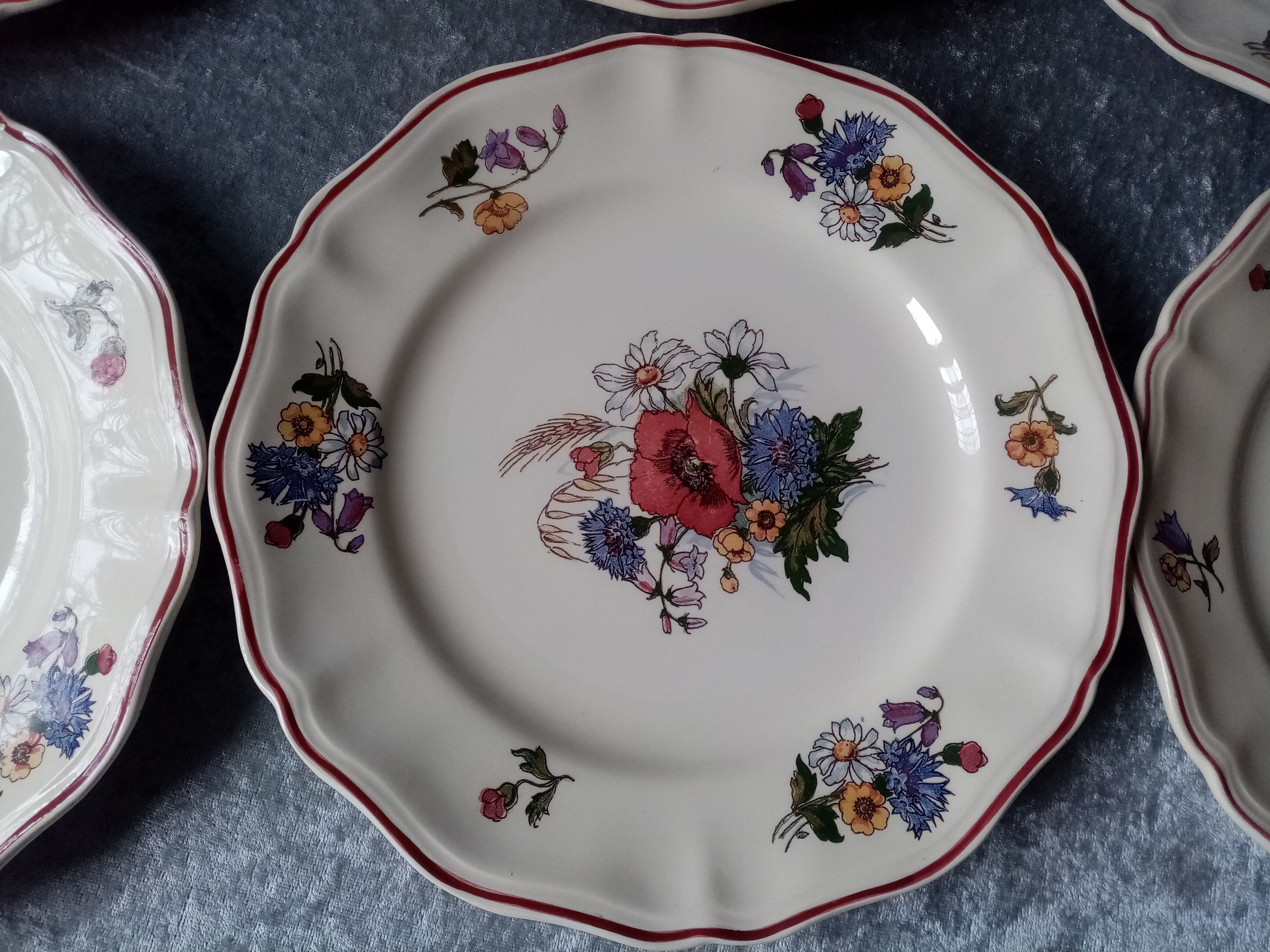 Series of 6 flat plates in earthenware of sarreguemines model agreste