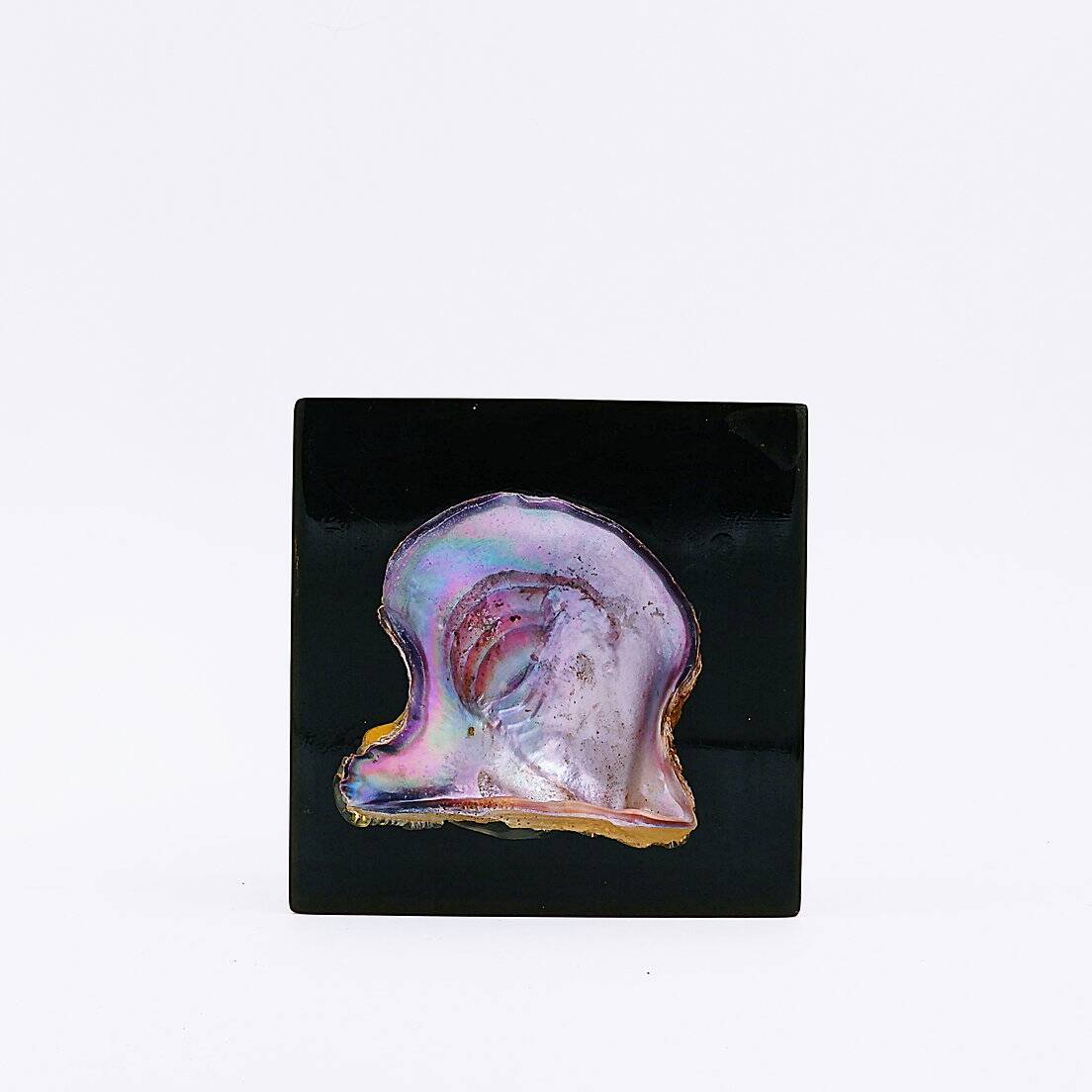 Jean Claude Dresse / Pierre Giraudon Inclusion of Pearl Oyster Shell
