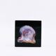 Jean Claude Dresse / Pierre Giraudon Inclusion of Pearl Oyster Shell
