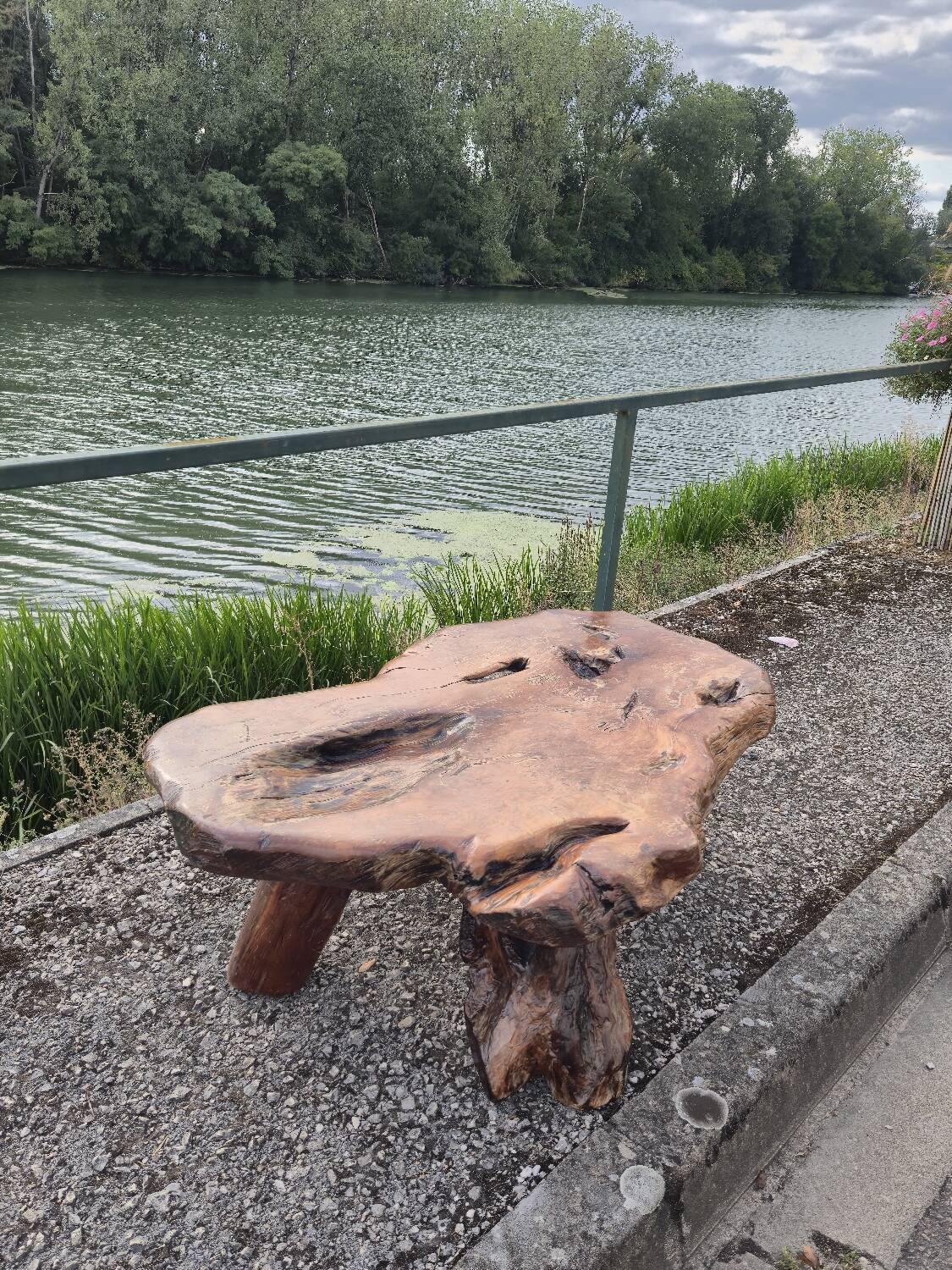 Brutalist coffee table made from solid elm tree trunk, 1950s