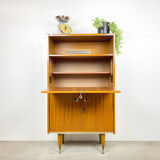 Vintage secretary/closet