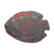 Fish dish