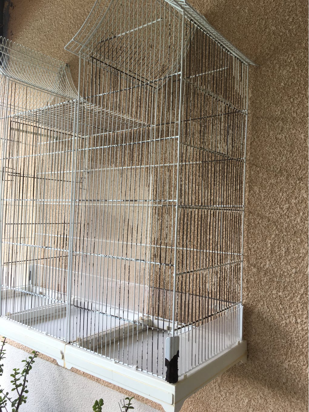 Cage vintage