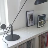 MANTIS BS3 DCW lamp