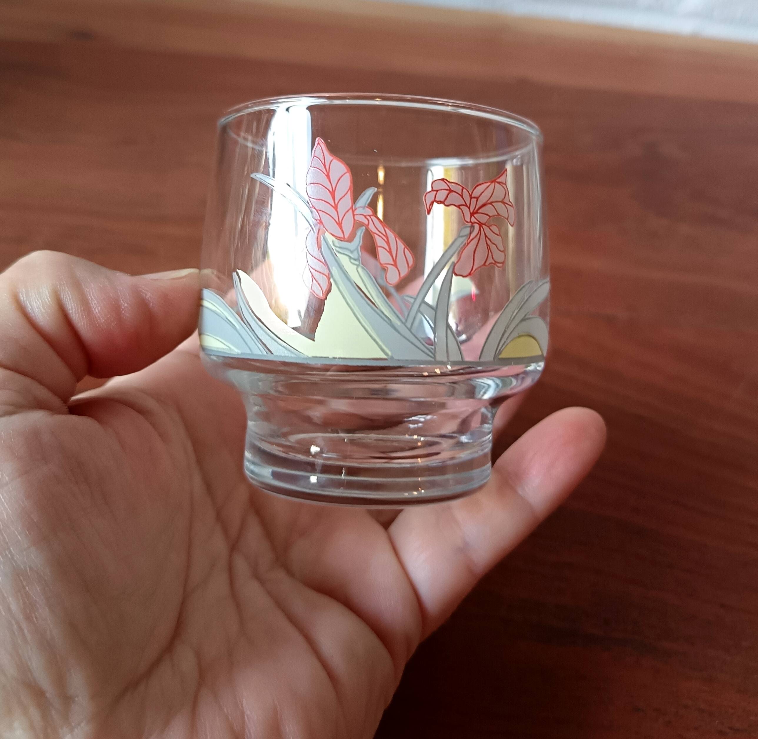 Luminarc France Diana vintage water glasses