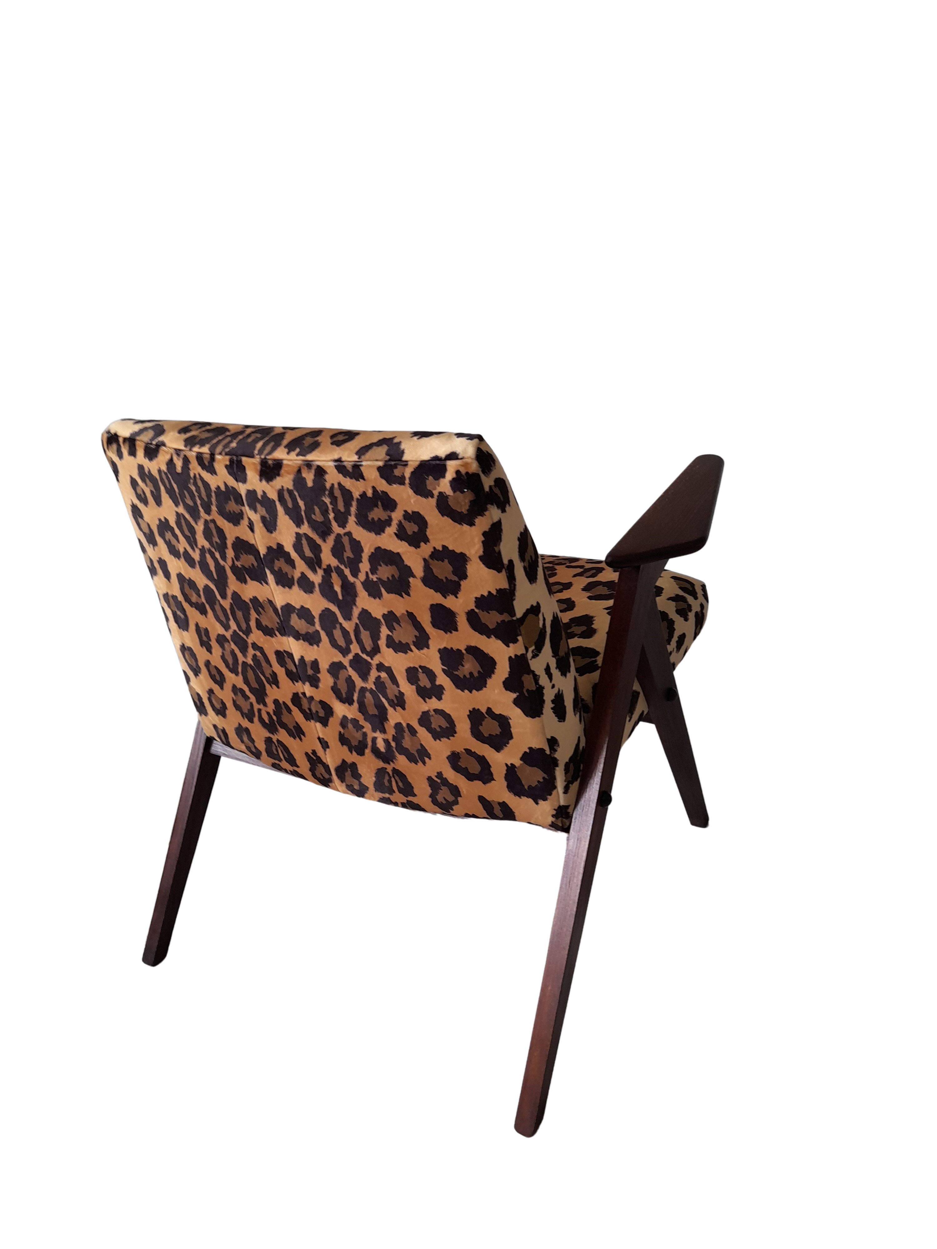 Leopard print velvet bunny armchair from dolnośląskie fabryki mebli, 1960