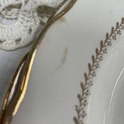 Set of 4 deep plates Gien Tokio diameter 23 cm