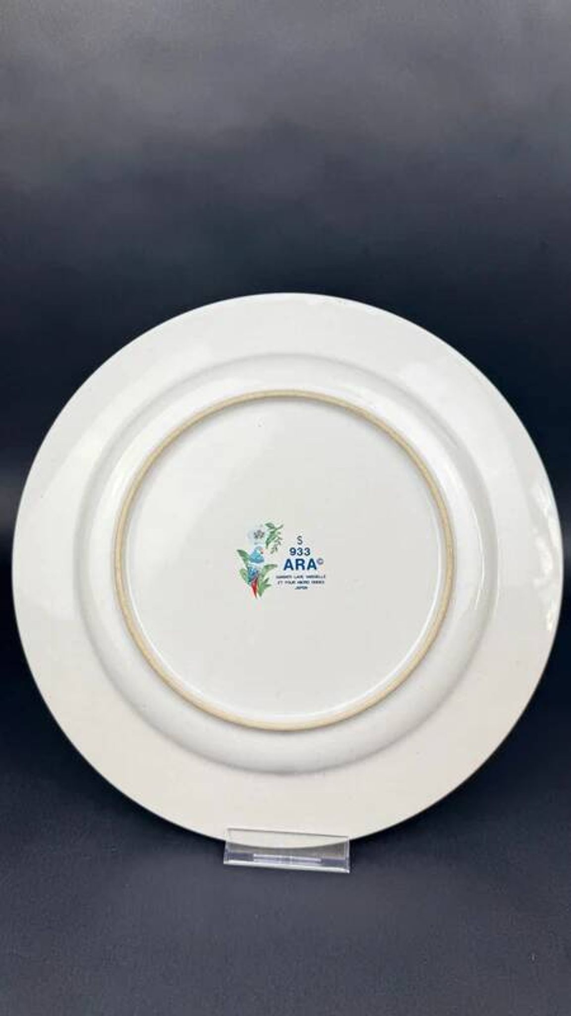 Assiette plate Pier Import modèle ARA 27,5 cm