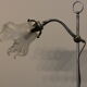 Orientable office lamp