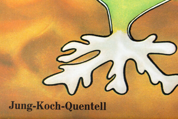 Affiche murale de l’école par Jung-Koch-Quentell ''algue'' 1970