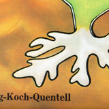 Affiche murale de l’école par Jung-Koch-Quentell "algue" 1970