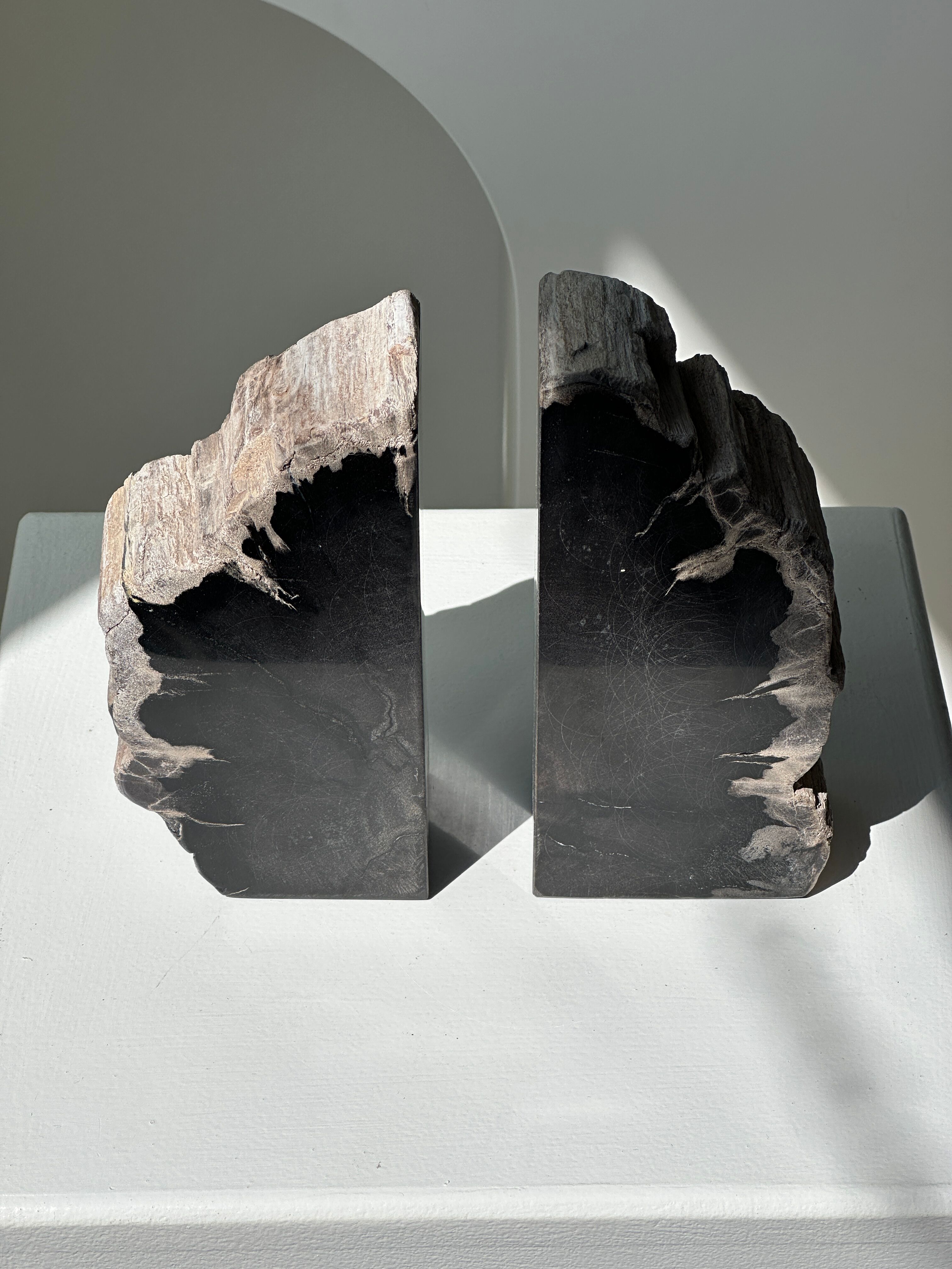 Black petrified wood bookend H17 L17 P6