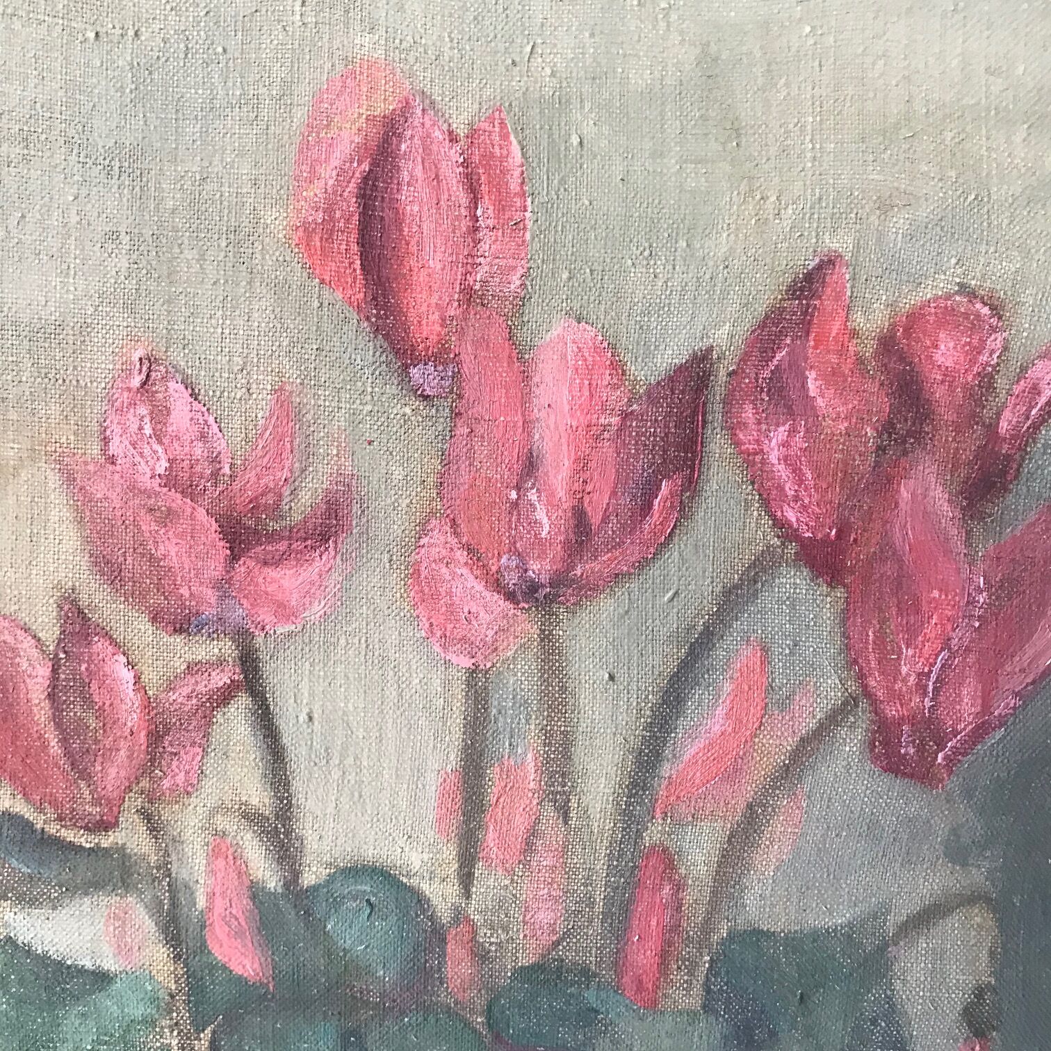 cyclamen charm painting