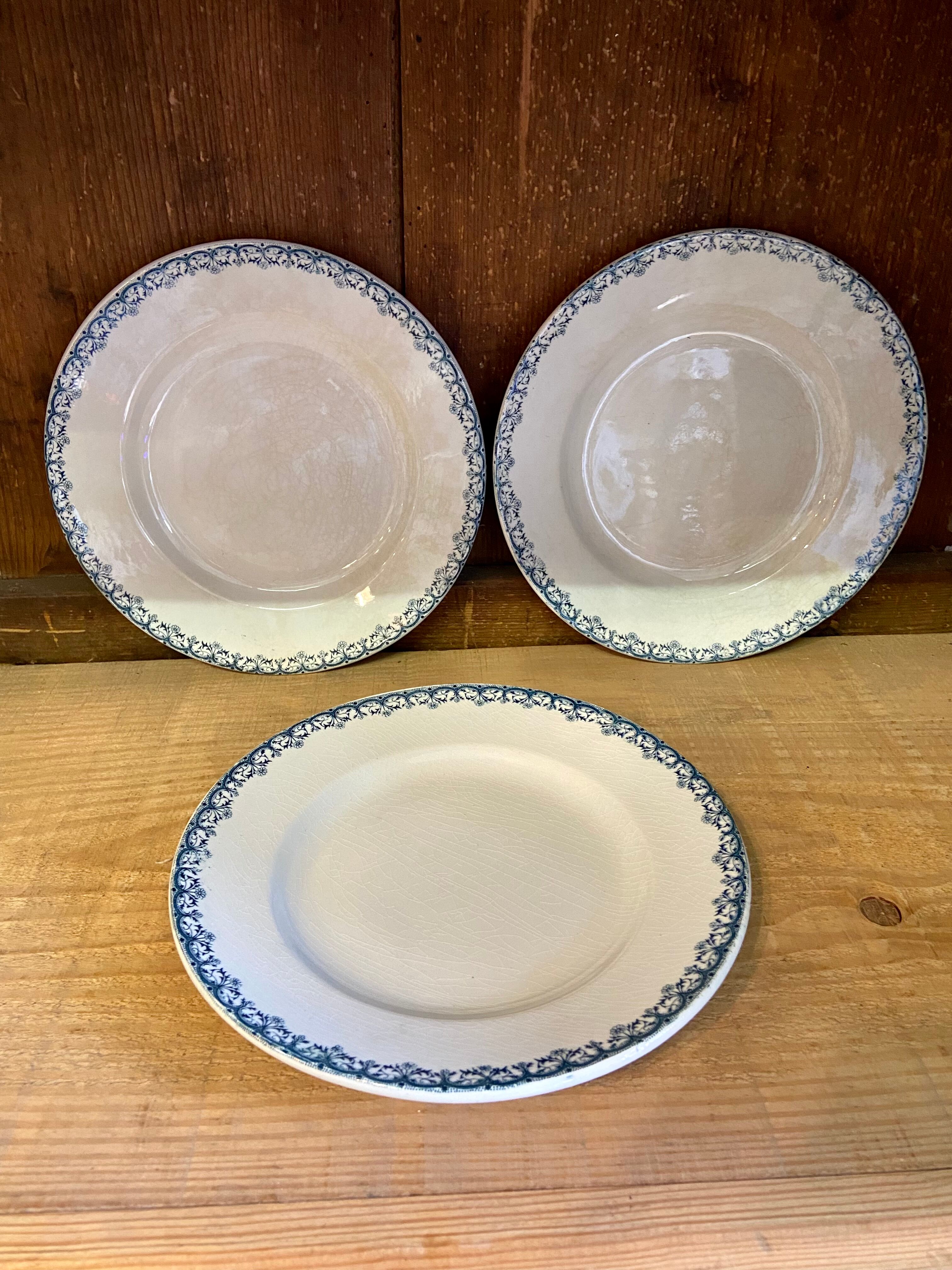 Blue Iron Earth plates