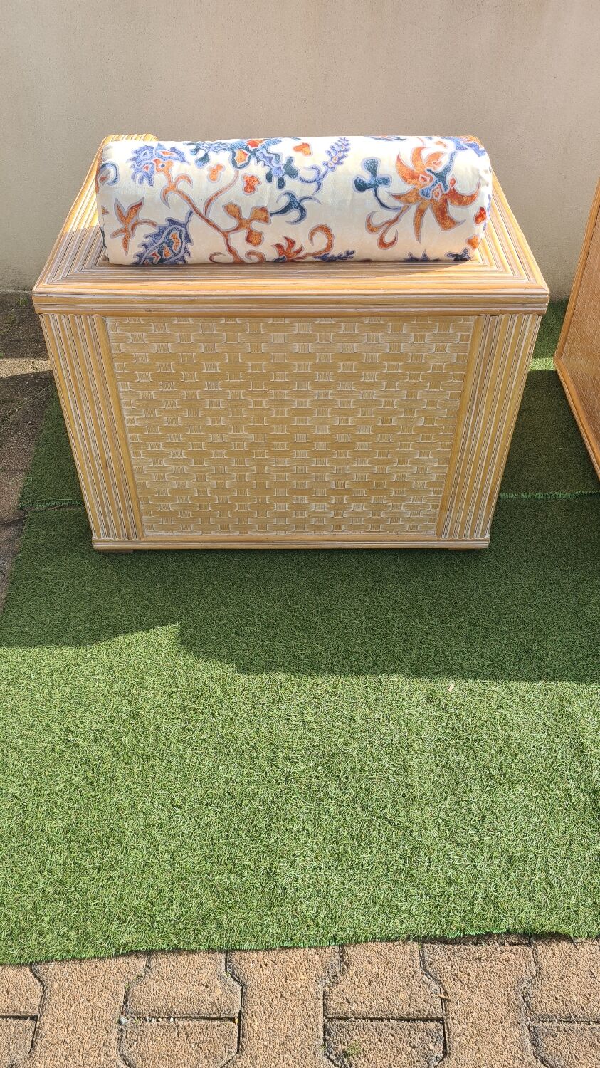 Design rattan club chairs