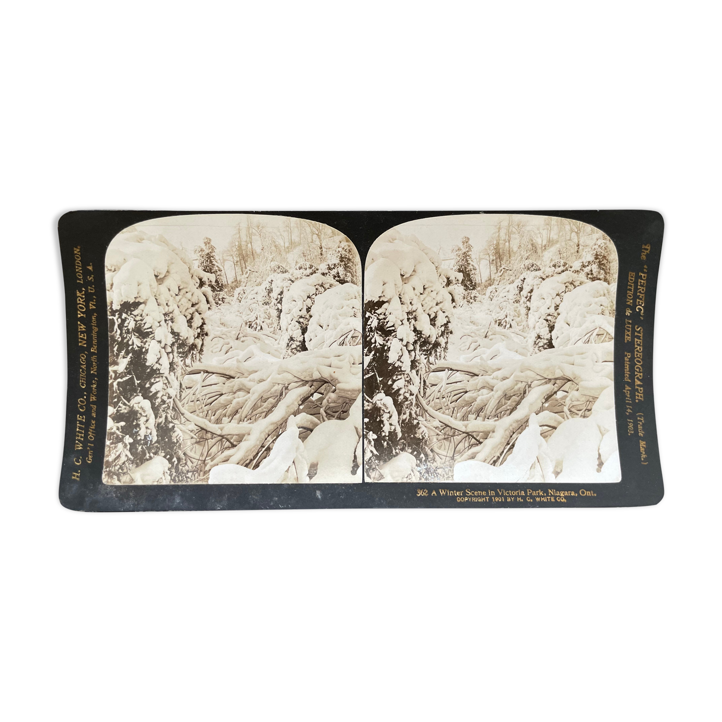 Antique photography, stereo, stereography, luxury albumine 1903 Ontario Canada