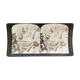 Photographie ancienne, stereo, stereographie, luxe albumine 1903 Ontario Canada