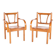 Pair of "organic" armchairs