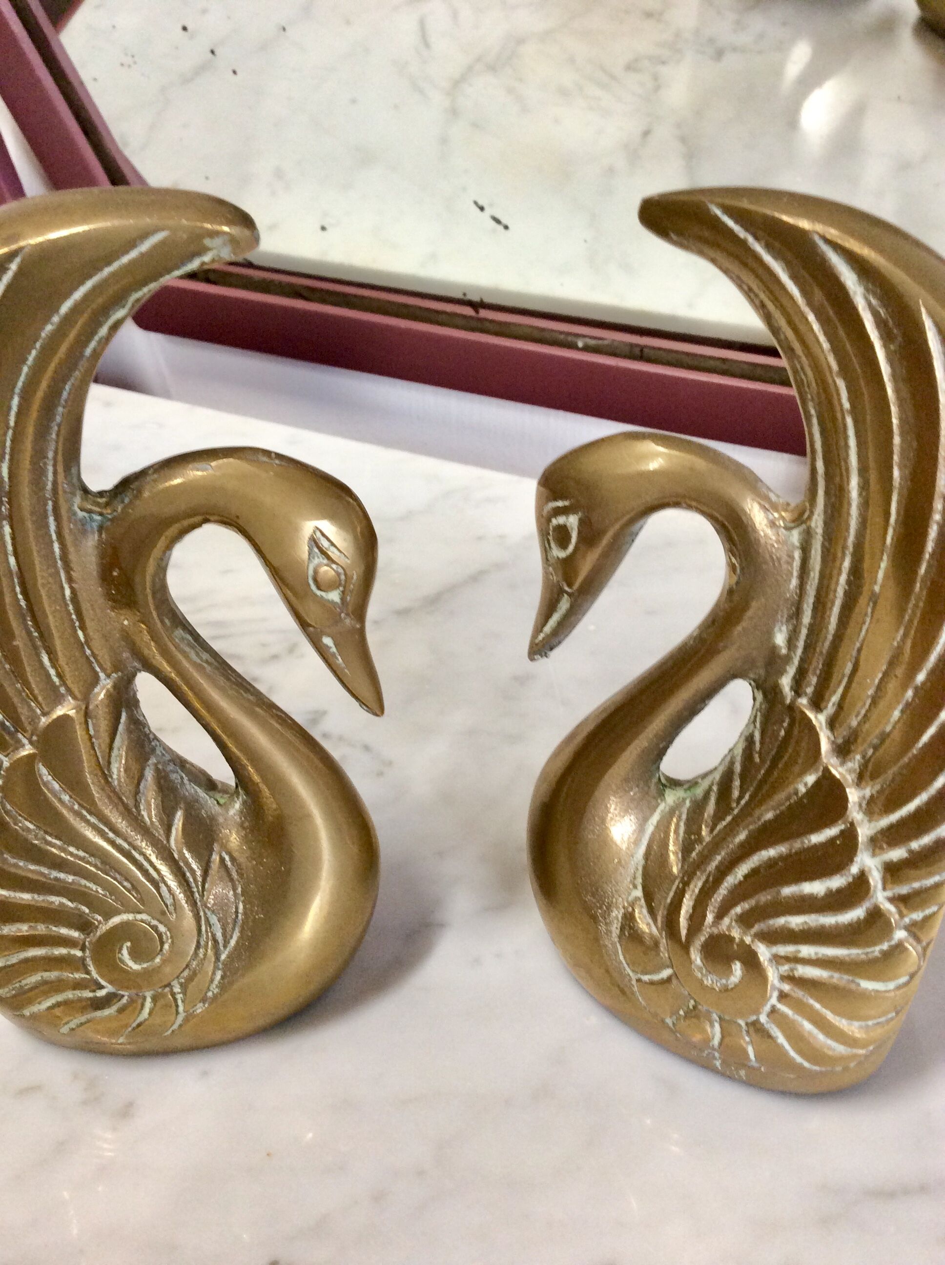 Pair of greenhouse books swans