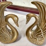 Pair of greenhouse books swans