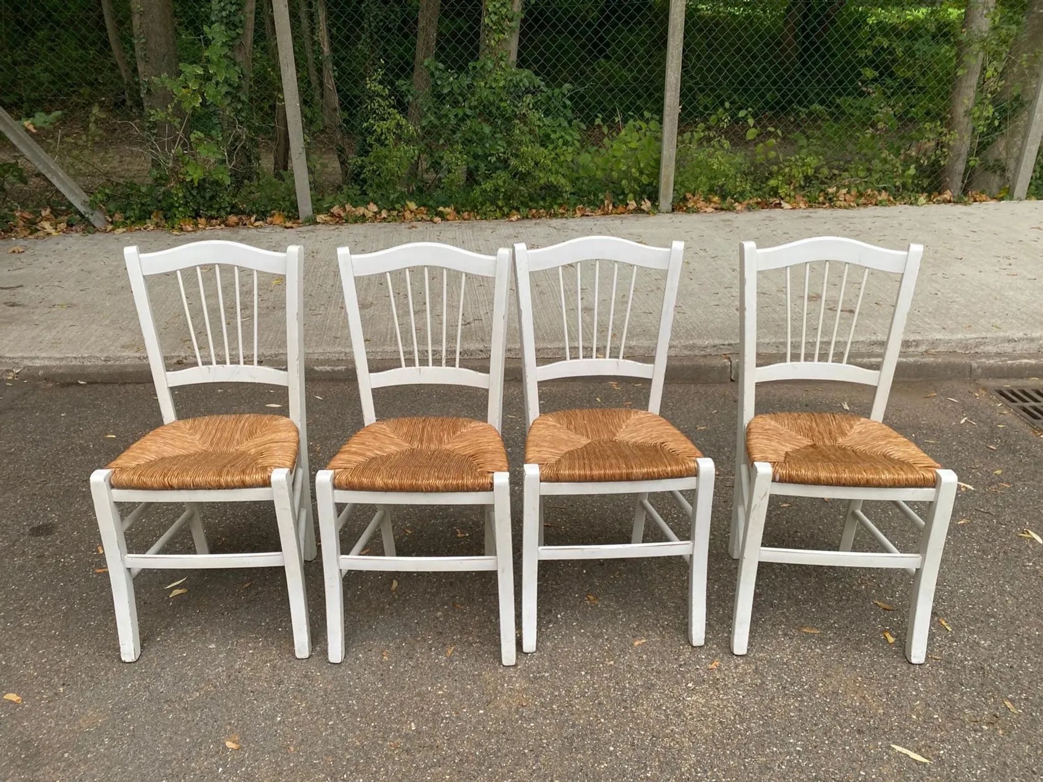 Lot de 4 chaises rustiques en bois blanc & assise paillée
