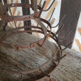 If hedgehog carries metal bottles