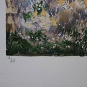 Yvonne Cheffer Delouis: Pink irises by the lake, original signed lithograph.