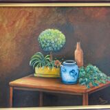 Plante en pot