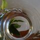 5 glasses of Arques crystal whisky signed - Ambroise model size Epi - 30 cl