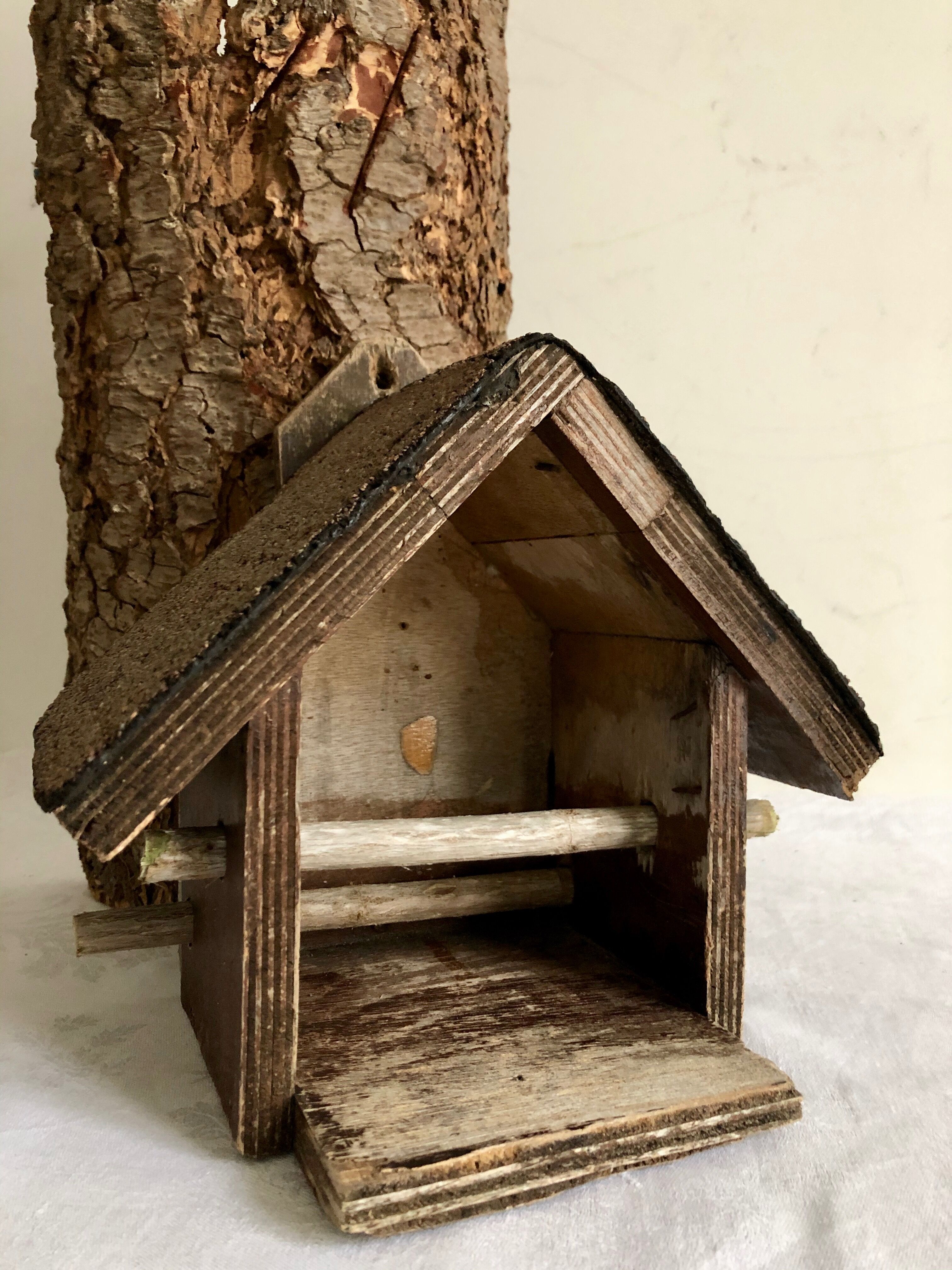 Bird feeder, garden in winter