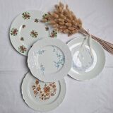 Porcelain dinner plates
