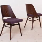 Set of 6 Dining Chairs by R. Hofman for TON, Model 514, 1960s, Reupholstered