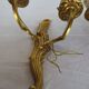 Pair of double wall lights in gilded bronze