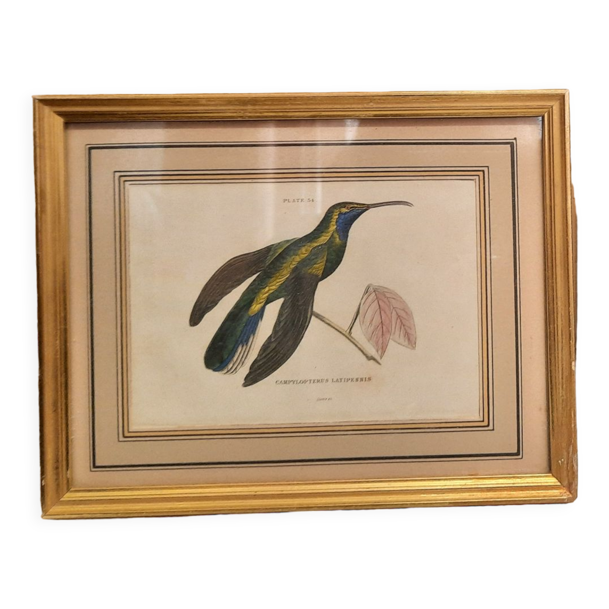 Tableau Oiseau Vintage Sur Partition - Art Mural Antique, Nuthatch Par Kat Croker