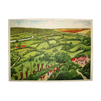 School poster the bocage in the sea marine life