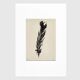 Acrylic painting on black feather paper signed Eawy.