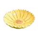 Ceramic fruit drainer