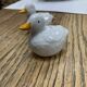 Salt and pepper shaker in duck-shaped earthenware
