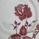Red flower plate