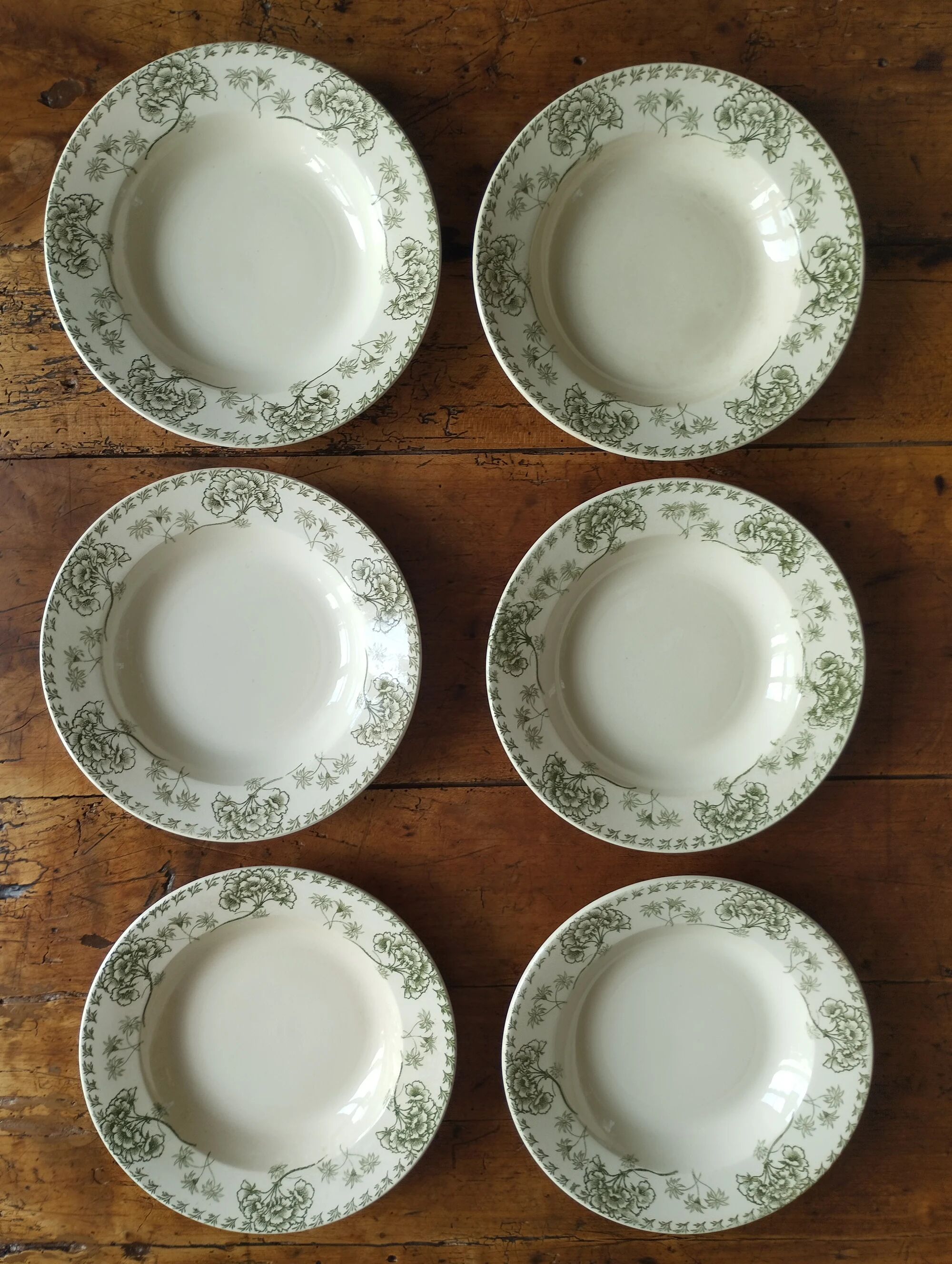 "Palmyra" - 6 deep plates, ironstone Sarreguemines